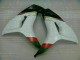 Carene Moto Honda CBR 1000 RR 2006-2007 - Bianco Nero Carene Moto Honda CBR 1000 RR 2006-2007 - Bianco Nero