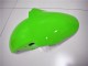Carene Moto Kawasaki ZX6R 2000-2002 - Verde Bianco Nero Carene Moto Kawasaki ZX6R 2000-2002 - Verde Bianco Nero